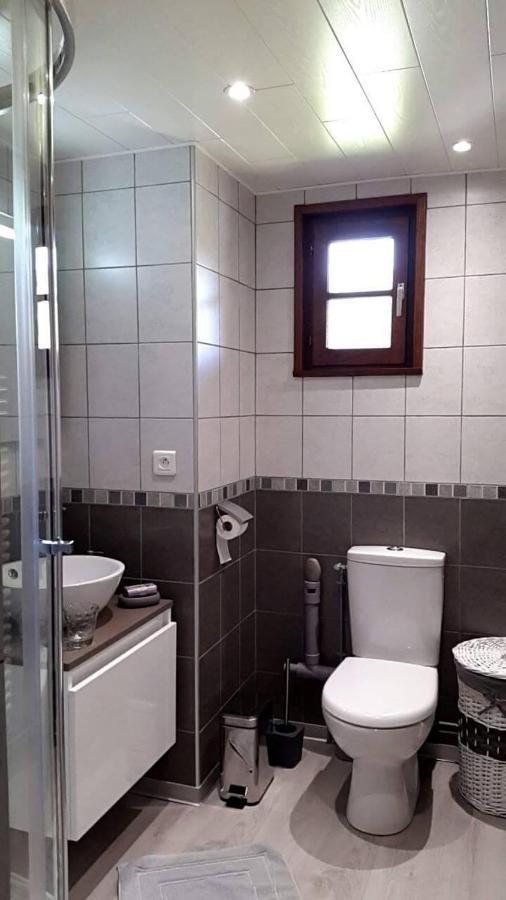Les Jumeaux Apartman Granges-sur-Vologne Kültér fotó