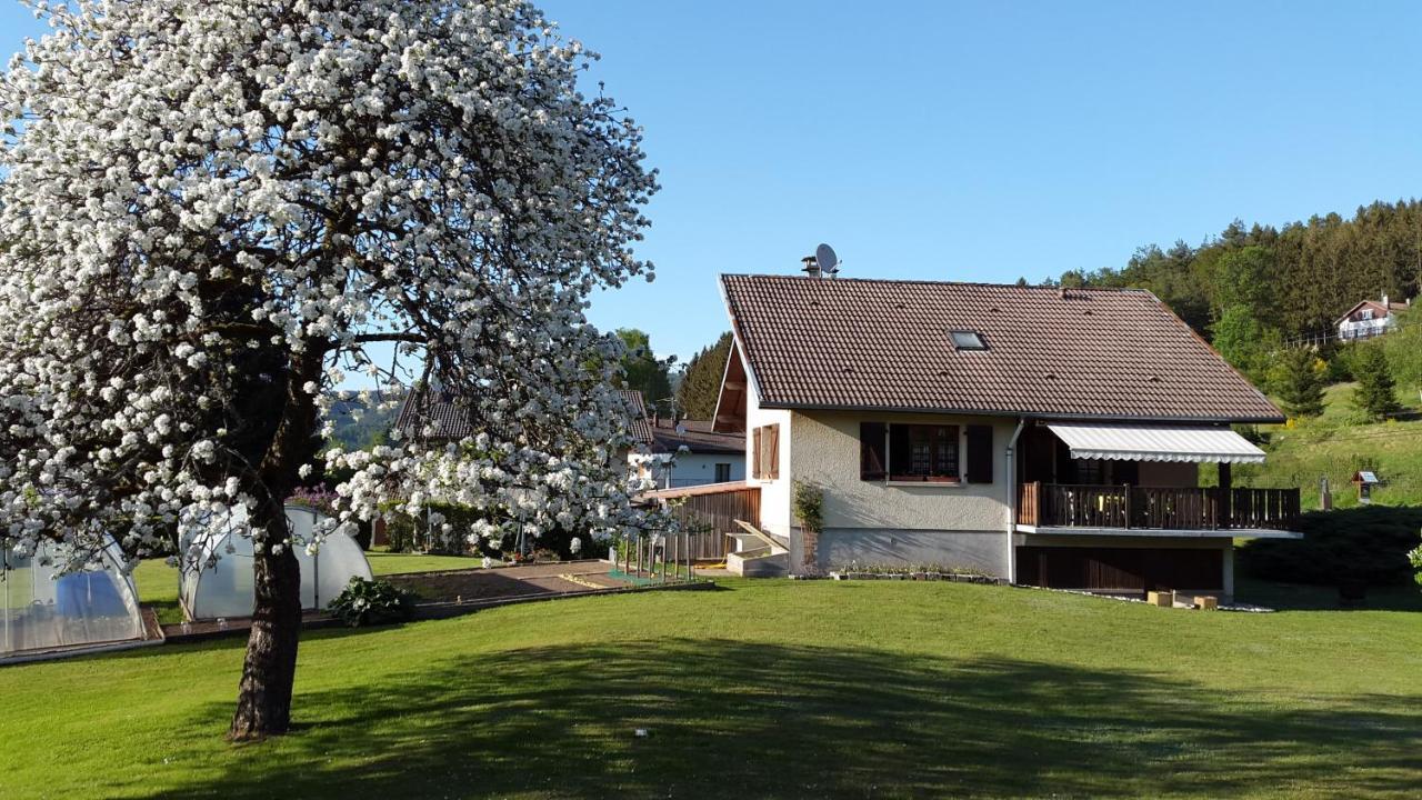 Les Jumeaux Apartman Granges-sur-Vologne Kültér fotó