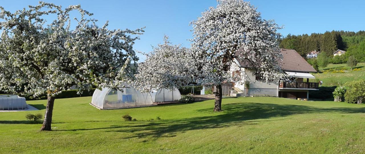 Les Jumeaux Apartman Granges-sur-Vologne Kültér fotó