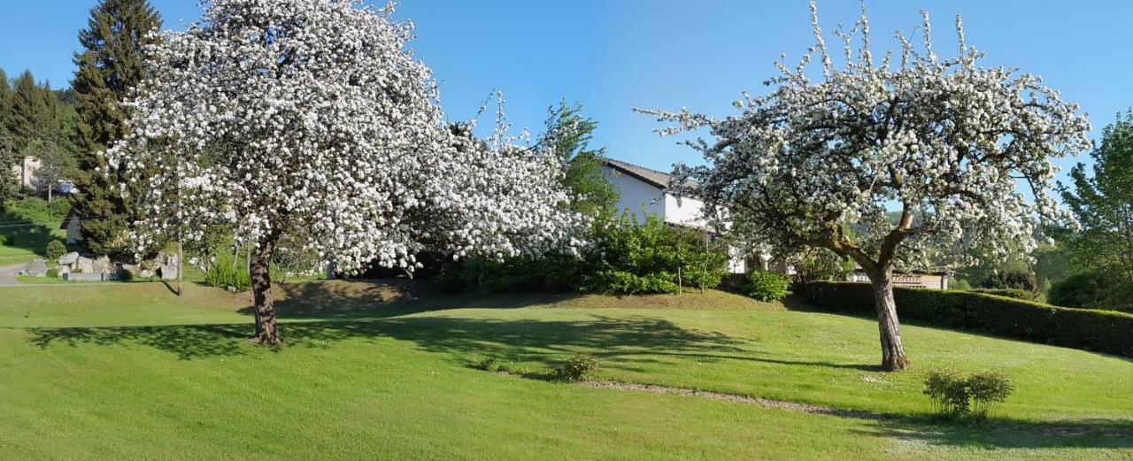 Les Jumeaux Apartman Granges-sur-Vologne Kültér fotó