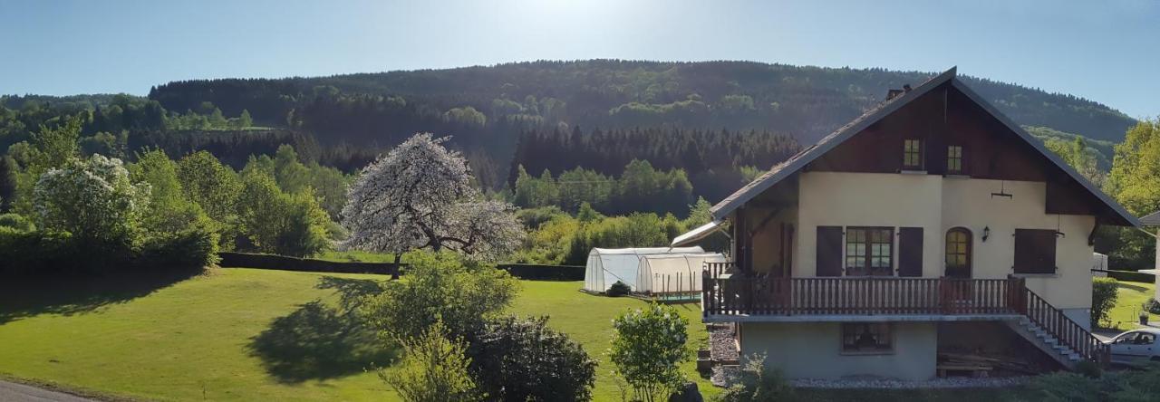 Les Jumeaux Apartman Granges-sur-Vologne Kültér fotó